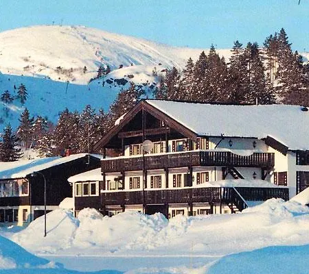 Bortelid Lodge Tjaldal